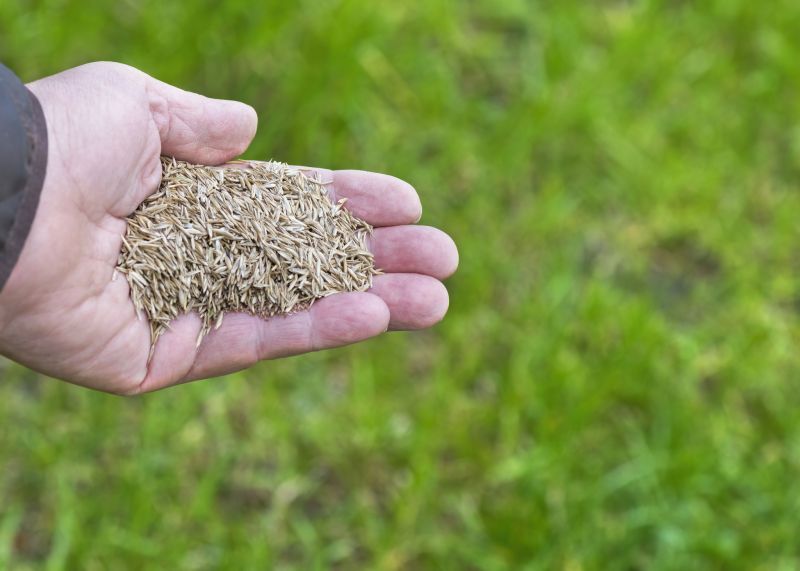 Bermuda Grass Seeding in Ventura County, CA