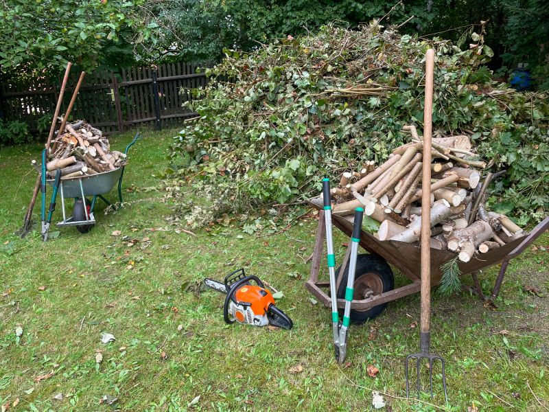 Brush Cleaning Service in Honolulu, HI