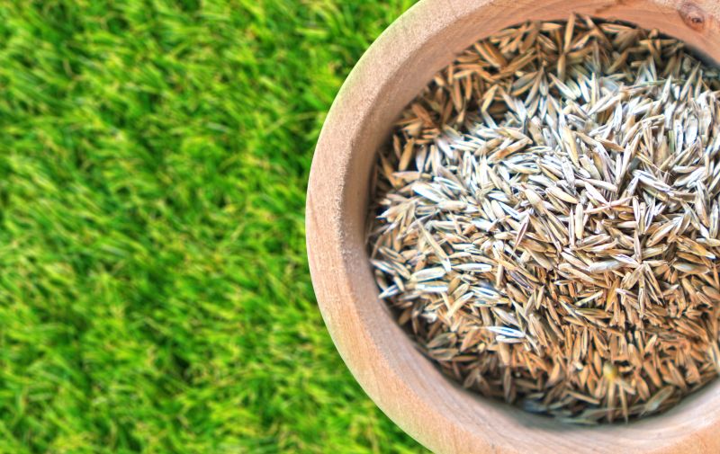 Commercial Grass Seeding in Ventura County, CA