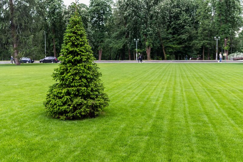 Lawn Size