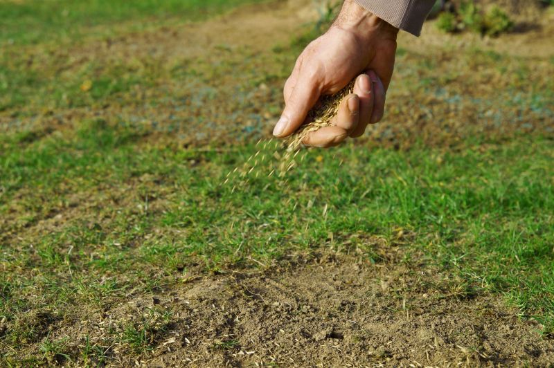 Fall Lawn Seeding in Ventura County, CA