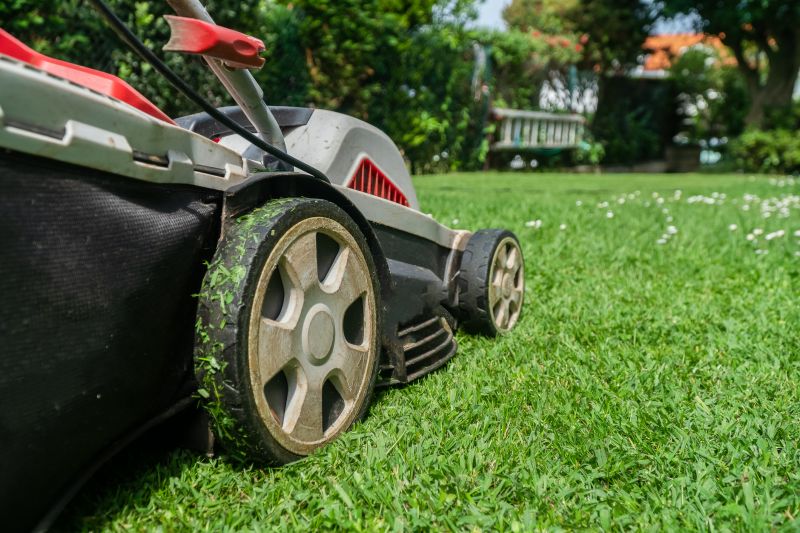 Field Mowing in Duluth, MN