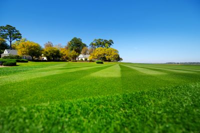 Grass Mowing in Bowie, MD