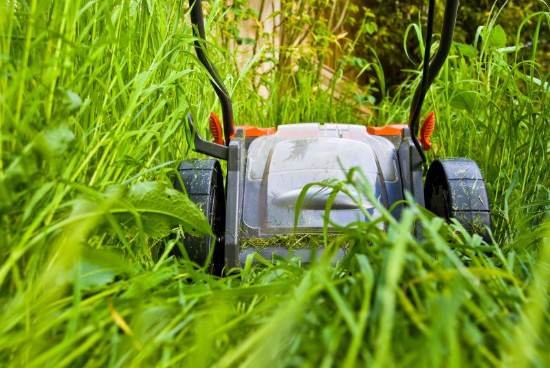 Grass Mowing in Bowie, MD