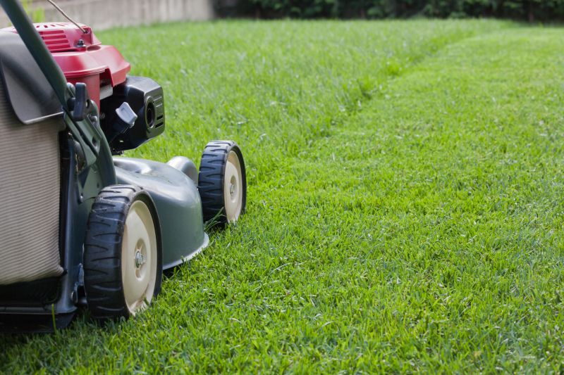 Lawn Trimming in Bowie, MD