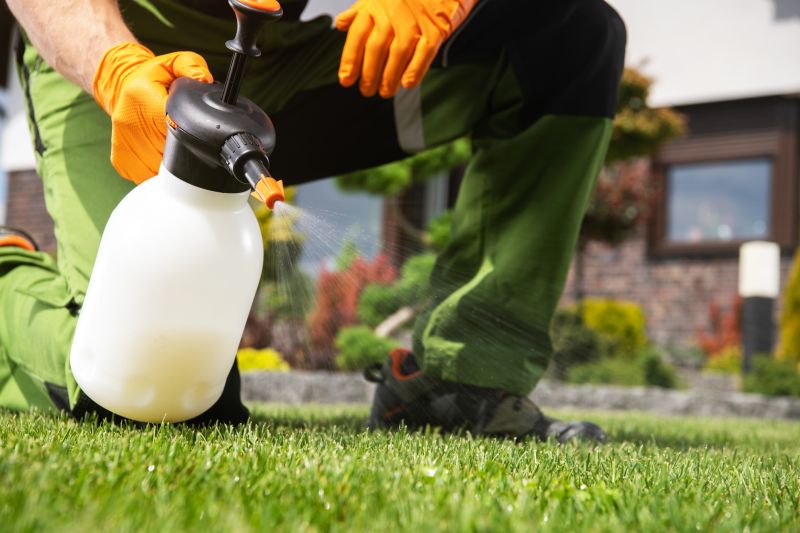 Lawn Weed Control in Aiken, SC