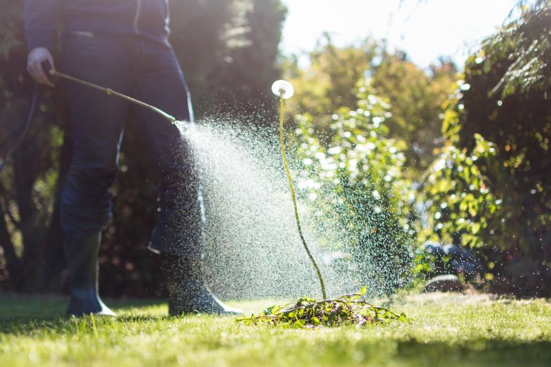 Lawn Weed Control in Ventura County, CA