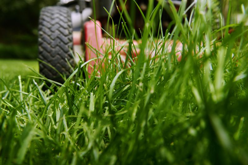 Meadow Mowing in Duluth, MN
