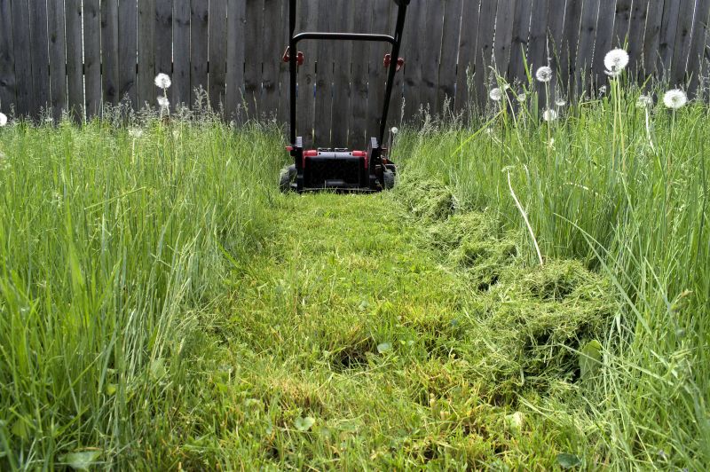 Pasture Mowing in Calvert County, MD