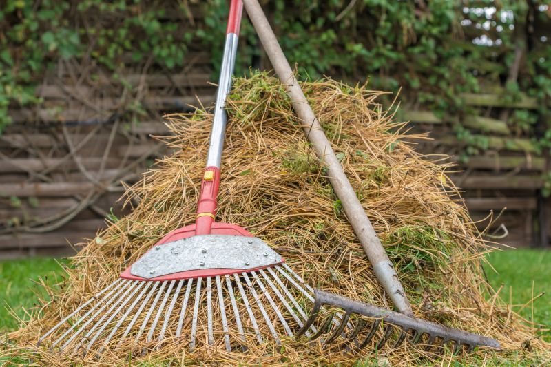 Pine Needles Removal in Ventura County, CA