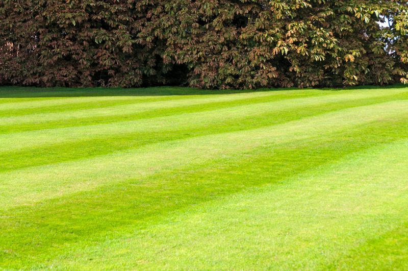 Lawn with Edging