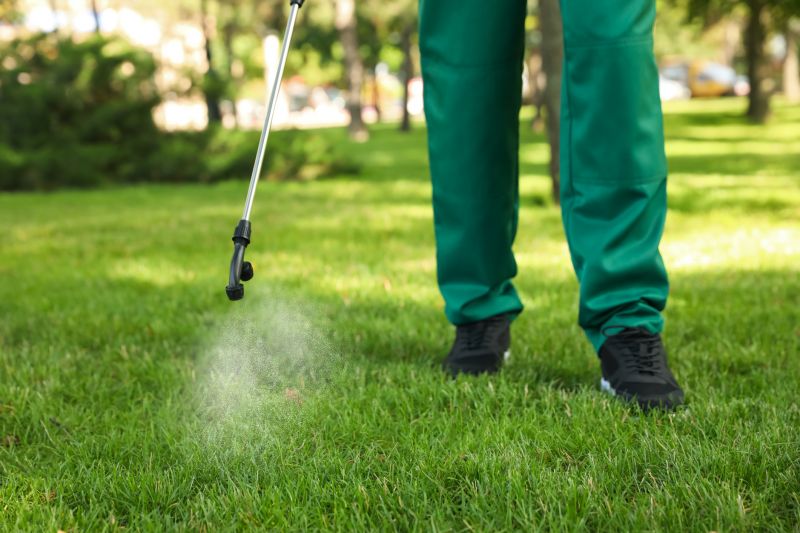 Summer Lawn Maintenance