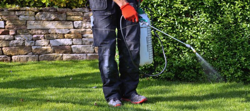 Weed Control Service in Aiken, SC