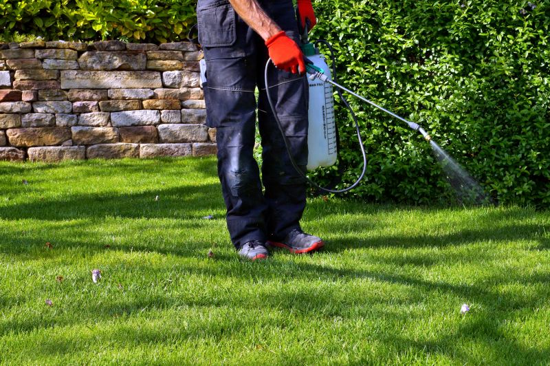 Weed Prevention Service in Honolulu, HI