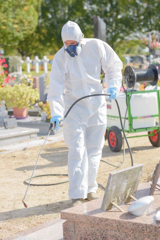 Weed Spraying in Honolulu, HI