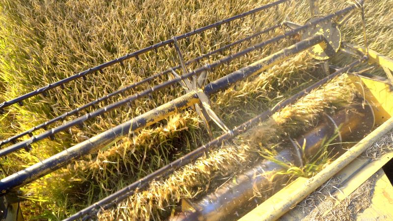 Equipment Technicians