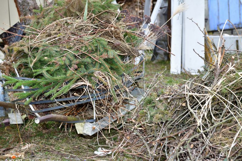Yard Debris Removal in Honolulu, HI
