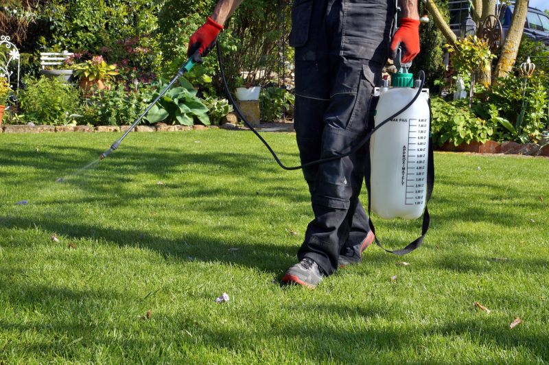 Yard Improvement Service in Ventura County, CA